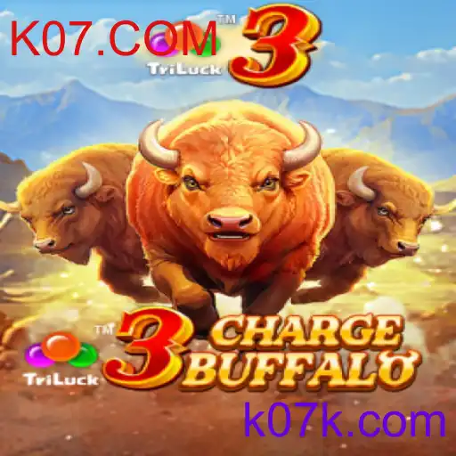 3ChargeBuffalo